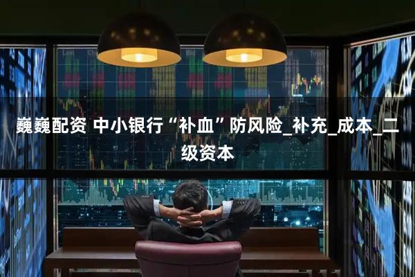 巍巍配资 中小银行“补血”防风险_补充_成本_二级资本