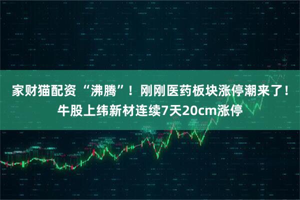 家财猫配资 “沸腾”！刚刚医药板块涨停潮来了！牛股上纬新材连续7天20cm涨停