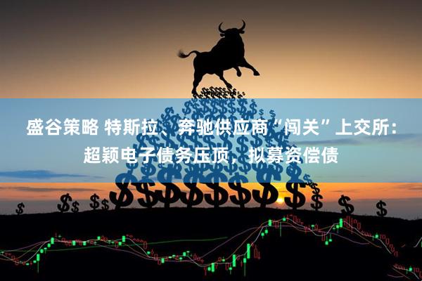 盛谷策略 特斯拉、奔驰供应商“闯关”上交所：超颖电子债务压顶，拟募资偿债