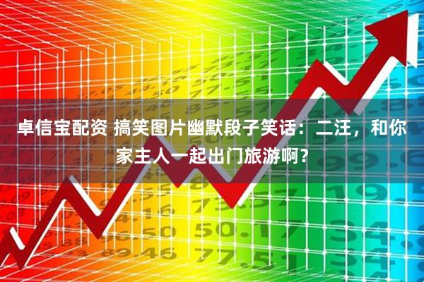 卓信宝配资 搞笑图片幽默段子笑话：二汪，和你家主人一起出门旅游啊？